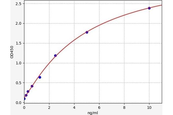 WISP2 ELISA Kit