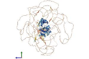 AlphaFold protein structure predicition of Mouse Recombinant Lmtk2 Protein, UniprotID Q3TYD6 (LMTK2 Protein (AA 1-1471) (His tag))