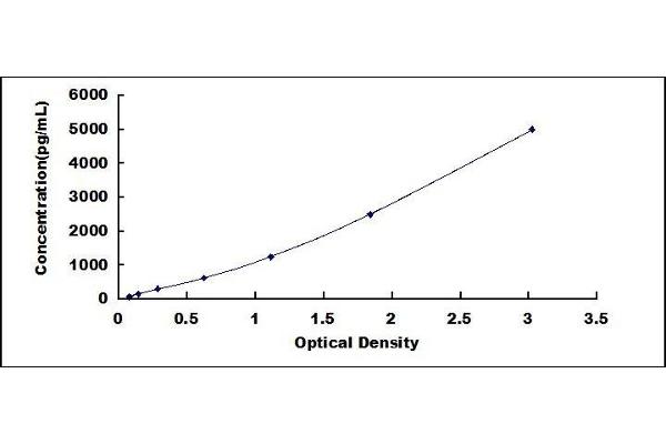 HSD11B2 ELISA Kit