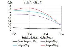 Black line: Control Antigen (100 ng),Purple line: Antigen (10 ng), Blue line: Antigen (50 ng), Red line:Antigen (100 ng) (NAA10 antibody  (AA 111-235))