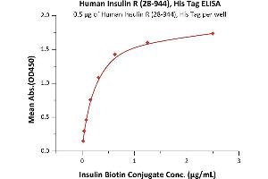 Immobilized Human Insulin R (28-944), His Tag (ABIN6731242,ABIN6809906) at 5 μg/mL (100 μL/well)can bind Insulin Biotin Conjugate with a linear range of 0. (Insulin Receptor Protein (INSR) (AA 28-944) (His tag))