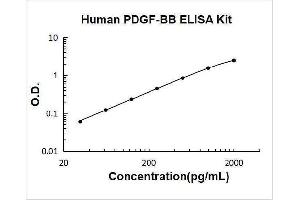 PDGF-BB Homodimer ELISA Kit