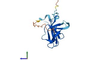 AlphaFold protein structure predicition of Human Recombinant FAM72D Protein, UniprotID Q6L9T8 (FAM72D Protein (AA 1-149) (His tag))