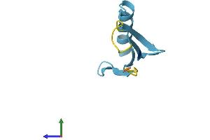 AlphaFold protein structure predicition of Human Recombinant UBE2DNL Protein, UniprotID Q8IWF7 (UBE2DNL Protein (AA 1-75) (Fc Tag))