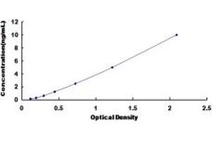 Ephrin A5 ELISA Kit