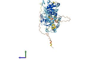 AlphaFold protein structure predicition of Mouse Recombinant Ddx56 Protein, UniprotID Q9D0R4 (DDX56 Protein (AA 1-546) (His tag))