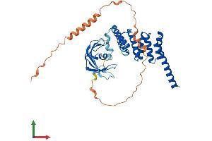 Protein Structure (PS) image for FK506 Binding Protein Like (FKBPL) (AA 1-349) protein (His tag) (ABIN7547772)
