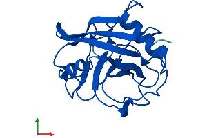 AlphaFold protein structure predicition of Human Recombinant PPIAL4F Protein, UniprotID P0DN26 (PPIAL4F Protein (AA 1-164) (His tag))
