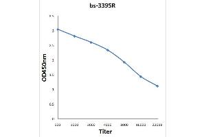 Antigen: 0. (SGK1 antibody  (pSer78))