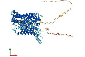 AlphaFold protein structure predicition of Mouse Recombinant Slc7a10 Protein, UniprotID P63115