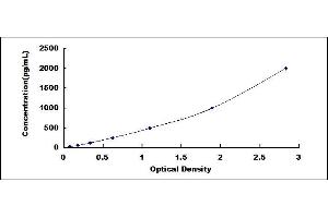 Typical standard curve (KRT15 ELISA Kit)