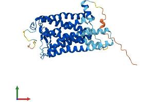 AlphaFold protein structure predicition of Mouse Recombinant Opn1sw Protein, UniprotID P51491