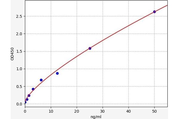 TACR3 ELISA Kit