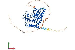 Protein Structure (PS) image for Ubiquitin-Conjugating Enzyme E2Z (UBE2Z) (AA 1-354) protein (His tag) (ABIN7544987)