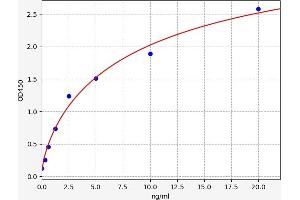 ABCB1 ELISA Kit