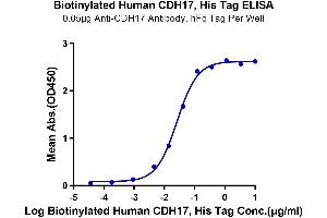 Immobilized Anti-CDH17 Antibody at 0.