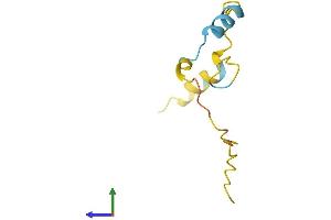 AlphaFold protein structure predicition of Mouse Recombinant Pkig Protein, UniprotID O70139