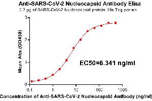 Elisa plate pre-coated by 2 μg/mL(100 μL/well) SARS-CoV-2 Nucleocapsid protein, His Tag(Cat. (SARS-CoV-2 Nucleocapsid antibody)