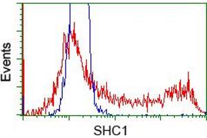 HEK293T cells transfected with either pCMV6-ENTRY SHC1 (RC204362) (Red) or empty vector control plasmid (Blue) were immunostained with anti-SHC1 mouse monoclonal (ABIN2453640), and then analyzed by flow cytometry.