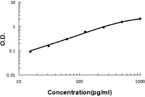 Sandwich ELISA - Recombinant human IL33 protein standard curve. (IL-33 antibody  (AA 95-270))
