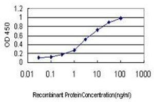 Detection limit for recombinant GST tagged S100A10 is approximately 0. (S100A10 antibody  (AA 1-97))