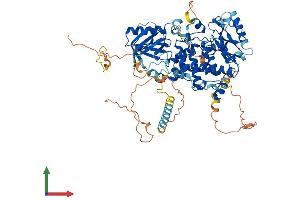 AlphaFold protein structure predicition of Human Recombinant MTMR12 Protein, UniprotID Q9C0I1 (MTMR12 Protein (AA 1-747) (His tag))
