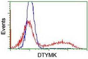 HEK293T cells transfected with either RC201228 overexpress plasmid (Red) or empty vector control plasmid (Blue) were immunostained by anti-DTYMK antibody (ABIN2454997), and then analyzed by flow cytometry. (DTYMK antibody)