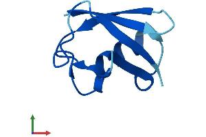 Protein Structure (PS) image for Ubiquitin-Like 5 (UBL5) (AA 1-73) protein (Fc Tag) (ABIN7545016)