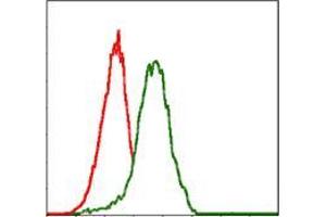 Flow cytometric analysis of Jurkat cells using PDX1 mouse mAb (green) and negative control (red). (PDX1 antibody)