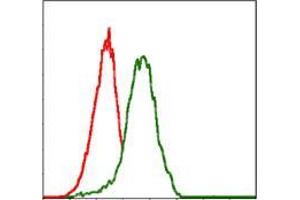 Flow cytometric analysis of Jurkat cells using PDX1 mouse mAb (green) and negative control (red).