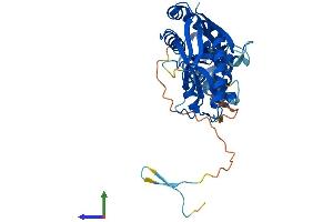 AlphaFold protein structure predicition of Mouse Recombinant Ascc1 Protein, UniprotID Q9D8Z1 (ASCC1 Protein (AA 1-356) (His tag))