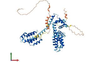 AlphaFold protein structure predicition of Human Recombinant TCP11 Protein, UniprotID Q8WWU5 (TCP11 Protein (AA 1-503) (His tag))