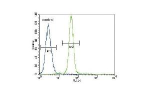 HMOX1 Antibody (Center) (ABIN655187 and ABIN2844803) flow cytometric analysis of A549 cells (right histogram) compared to a negative control cell (left histogram). (HMOX1 antibody  (AA 177-204))
