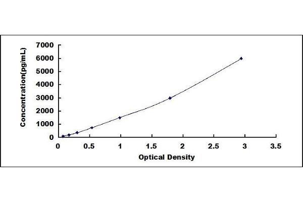 EGFL6 ELISA Kit