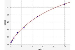 SPAG5 ELISA Kit