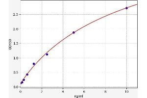 Typical standard curve (SPAG5 ELISA Kit)