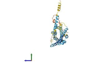Protein Structure (PS) image for G Protein-Coupled Receptor 142 (GPR142) (AA 1-365) protein (His tag) (ABIN7558277)