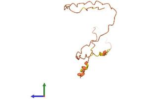 AlphaFold protein structure predicition of Human Recombinant KRTAP12-3 Protein, UniprotID P60328 (KRTAP12-3 Protein (AA 1-96) (Fc Tag))