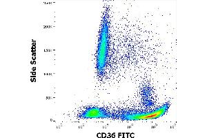 Flow cytometry surface staining pattern of human peripheral whole blood stained using anti-human CD36 (TR9) FITC antibody (20 μL reagent / 100 μL of peripheral whole blood). (CD36 antibody  (FITC))