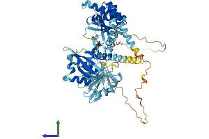 AlphaFold protein structure predicition of Mouse Recombinant Igf2bp1 Protein, UniprotID O88477 (IGF2BP1 Protein (AA 1-577) (His tag))