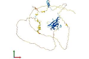 AlphaFold protein structure predicition of Human Recombinant SHF Protein, UniprotID Q7M4L6 (SHF Protein (AA 1-423) (His tag))