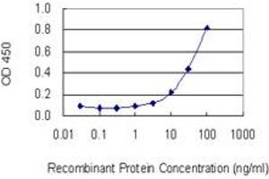 Detection limit for recombinant GST tagged SOCS4 is 0. (SOCS4 antibody  (AA 1-440))