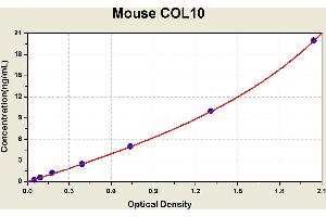Diagramm of the ELISA kit to detect Mouse COL10with the optical density on the x-axis and the concentration on the y-axis. (COL10 ELISA Kit)