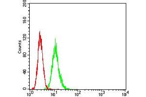 Flow cytometric analysis of HeLa cells using ATG7 mouse mAb (green) and negative control (red). (ATG7 antibody  (AA 558-703))