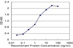 Detection limit for recombinant GST tagged RBM6 is approximately 0. (RBM6 antibody  (AA 1024-1123))