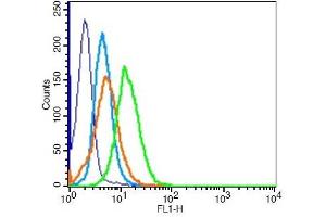 HeLa cells probed with Estrogen receptor beta Polyclonal Antibody, Unconjugated  at 1:100 for 30 minutes followed by incubation with a conjugated secondary -PE) (green) for 30 minutes compared to control cells (blue), secondary only (light blue) and isotype control (orange). (ESR2 antibody  (AA 201-300))