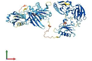 Protein Structure (PS) image for Scinderin (SCIN) (AA 1-715) protein (His tag) (ABIN7563866)