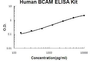 Human BCAM PicoKine ELISA Kit standard curve