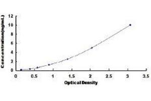 Proteasome (Prosome, Macropain) Subunit, beta Type, 9 (Large Multifunctional Peptidase 2) (PSMB9) ELISA Kit