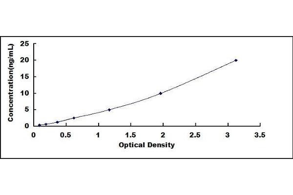 Integrin beta 2 ELISA Kit